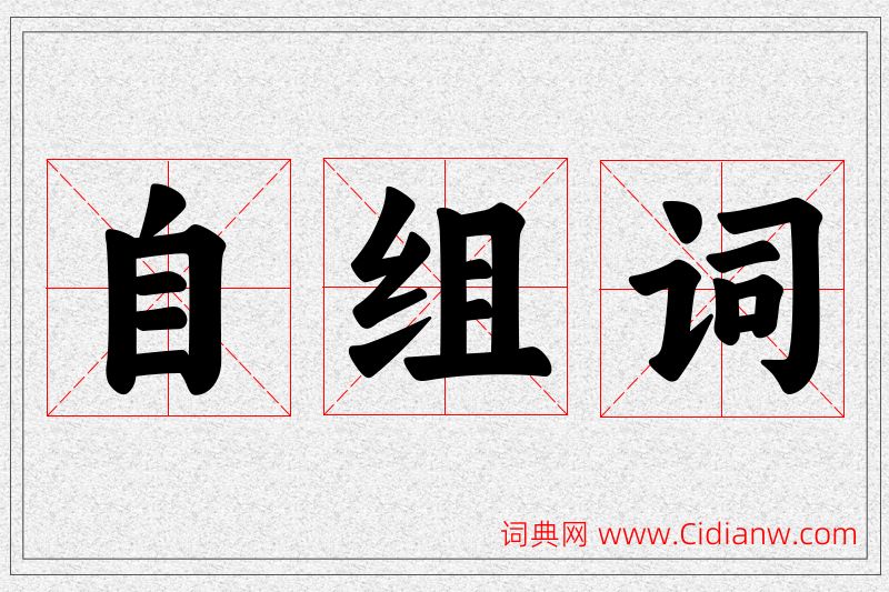 自字的组词