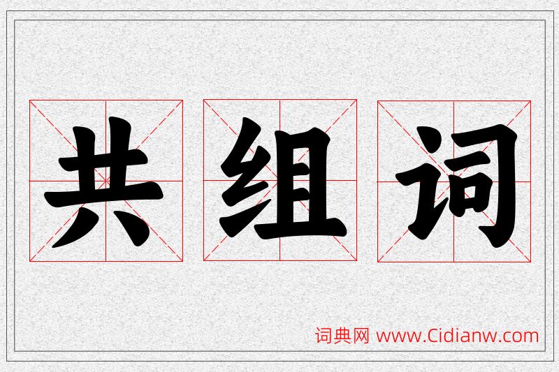 共字的组词